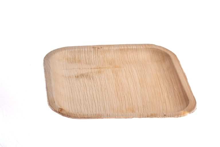20 cm square plate Ehsaashome disposable natural palm leaf plates