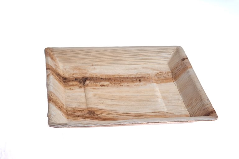 25 cm square plate Ehsaashome disposable natural palm leaf plates